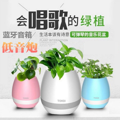 音乐花盆蓝牙音箱出口欧美需要做哪些认证?-贝斯通检测认证机构中心