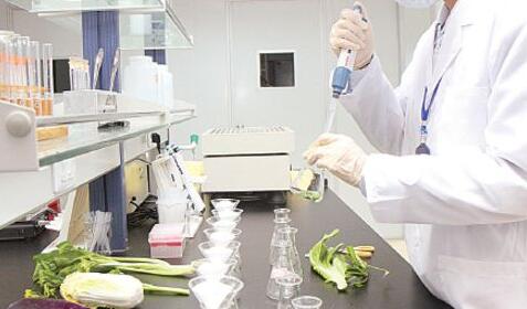 欧盟食品接触材料标准84/500/eec办理公司-贝斯通检测认证机构中心